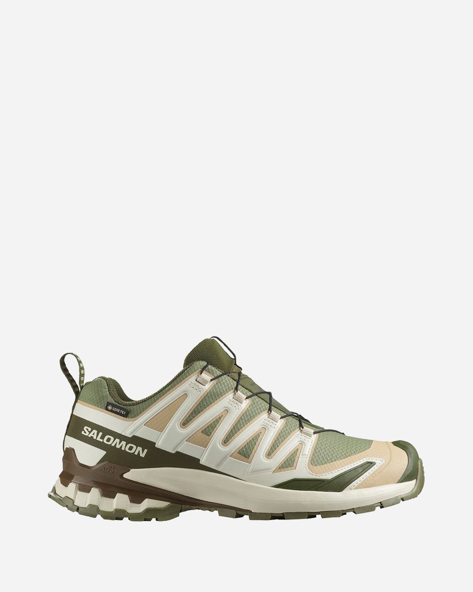 Salomon XA Pro 3D V9 GORE-TEX