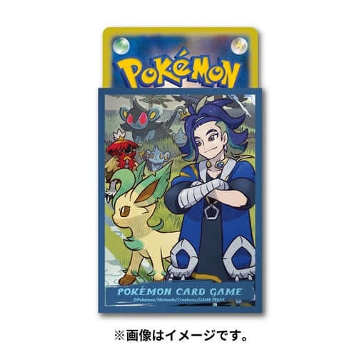 Pokémon card set deck shield HISUI DAYS SEKI