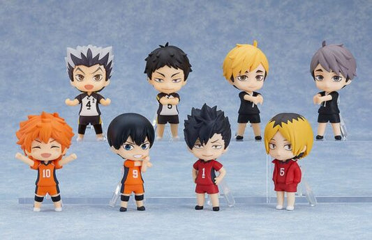Surprise Nendoroid【Haikyuu!!】National Tournament