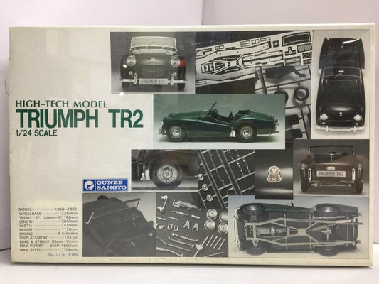 GUNZE SANGYO 1/24 TRIUMPH TR2 HIGH-TECH MODEL