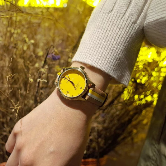 Timex Waterbury Traditional Ladies Watch TW2T26600