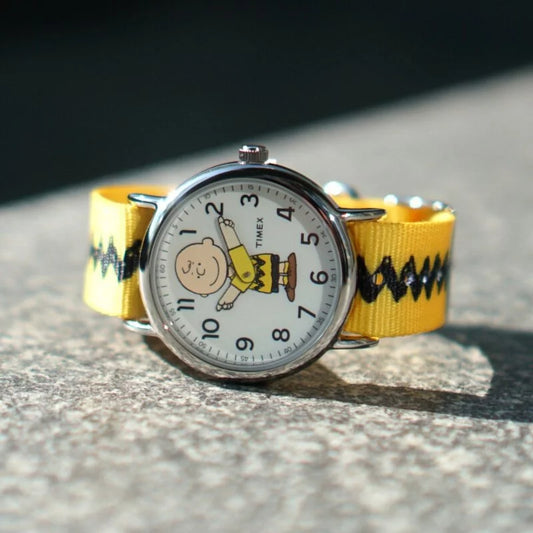 Timex Weekender Peanuts Charlie Brown Watch TW2R41100
