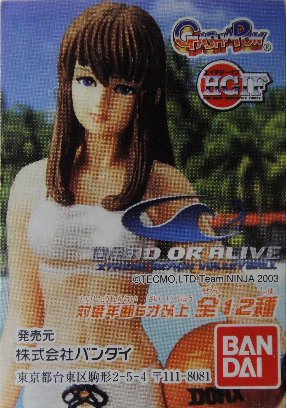 BANDAI HG DEAD OR ALIVE XTREME BEACH VOLLEYBALL GASHAPON All 12 types Gashapon 118141  b26242042