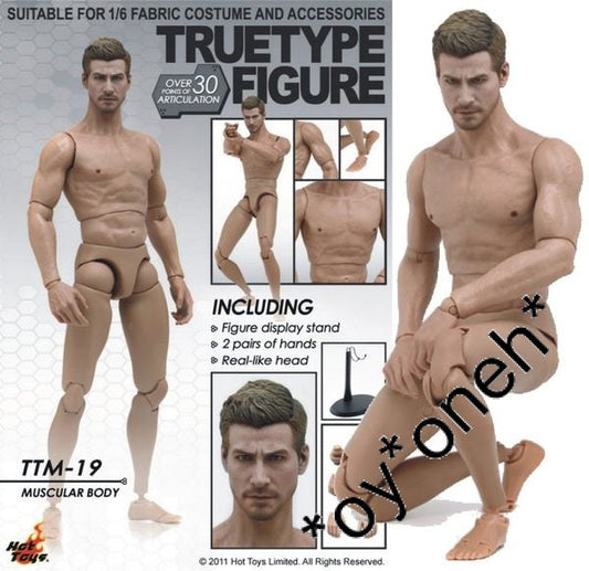 1:6 HOT TOYS TTM19 TTM 19 TRUETYPE BODY   b28735068