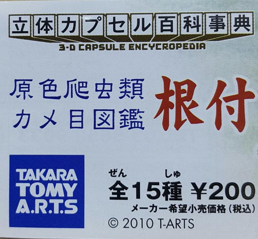 TAKARA TOMY ARTS 98769 3D CAPSULE ENCYCLOPEDIA ORIGINAL COLOR REPTILE TURTLE PICTURE BOOK 3D Capsule Encyclopedia Original Color Reptile Turtles Picture Book Netsuke Charm Gachapon Set 15 Types