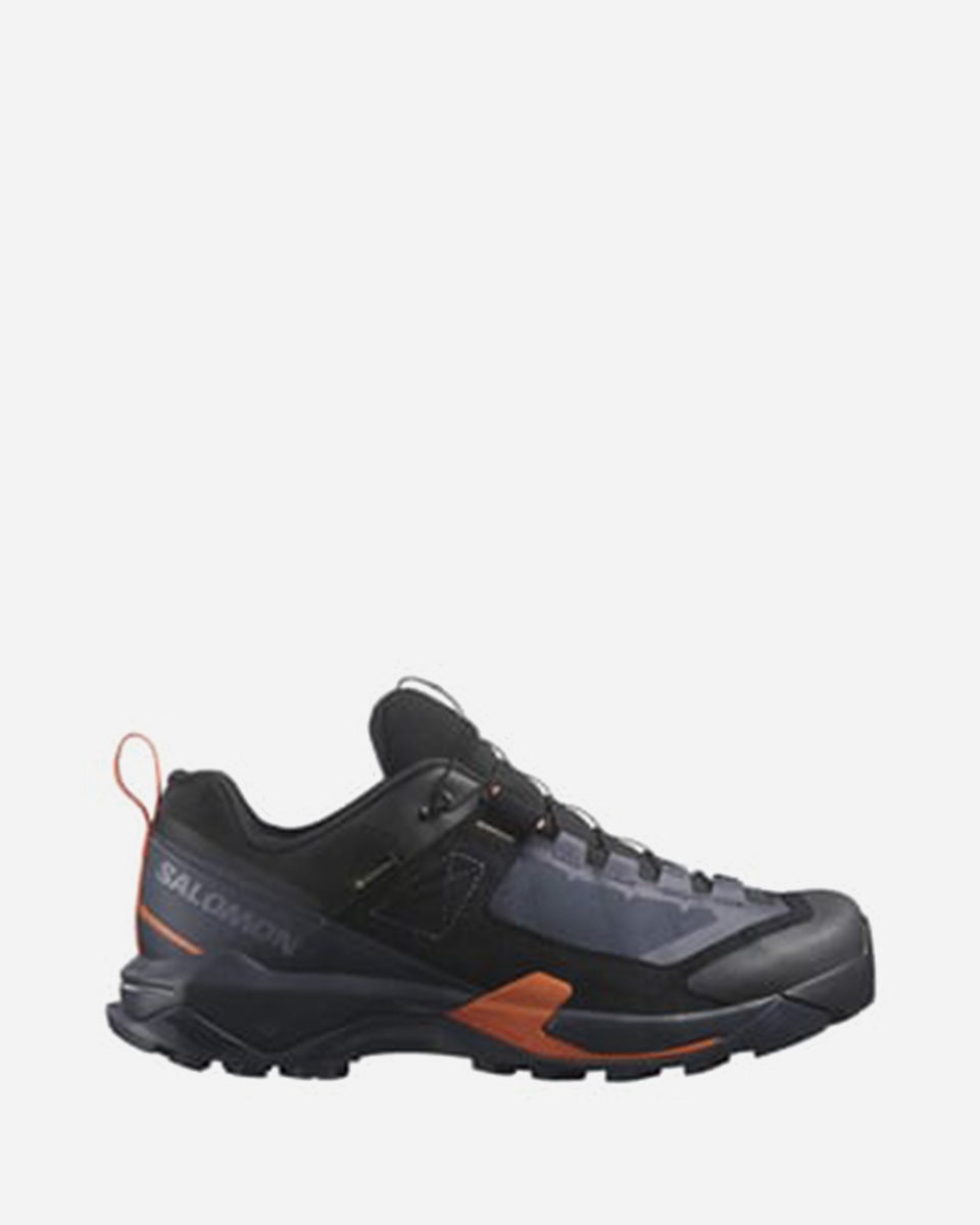 Salomon X Ultra Alpine GORE-TEX