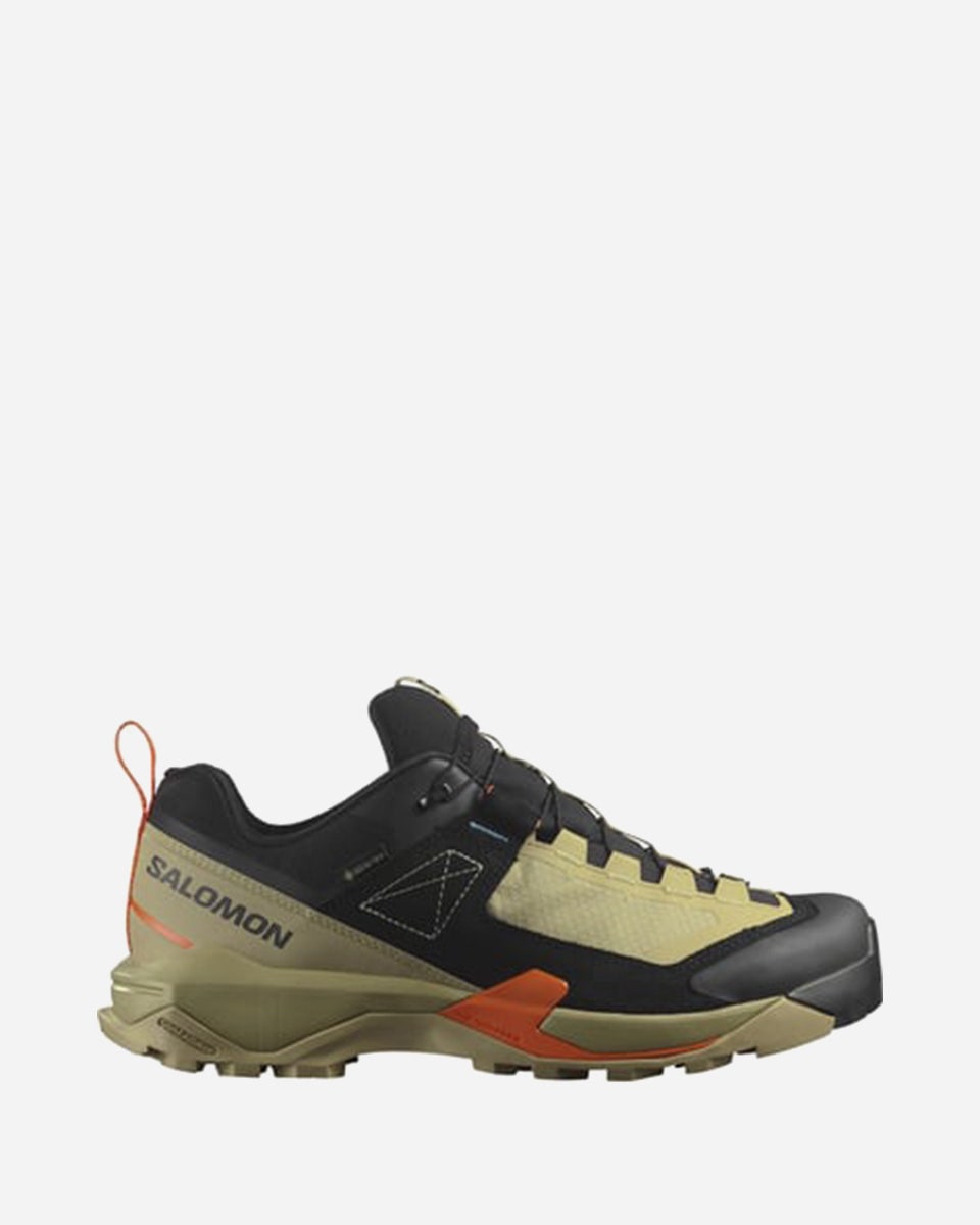Salomon X Ultra Alpine GORE-TEX