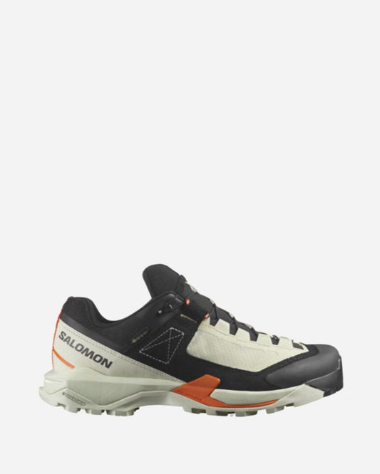 Salomon X Ultra Alpine GORE-TEX