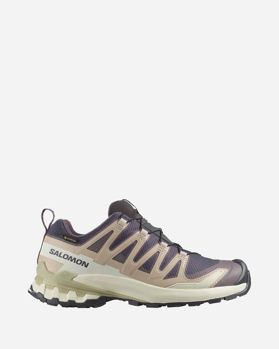 Salomon XA Pro 3D V9 GORE-TEX