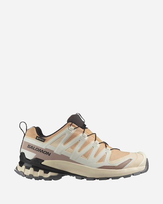 Salomon XA Pro 3D V9 GORE-TEX