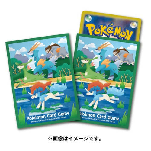 Pokémon card set Deck Shield Cardio