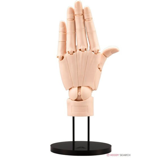 1/1 Artist SUPPORT ITEM Hand Model / L - Light Orange