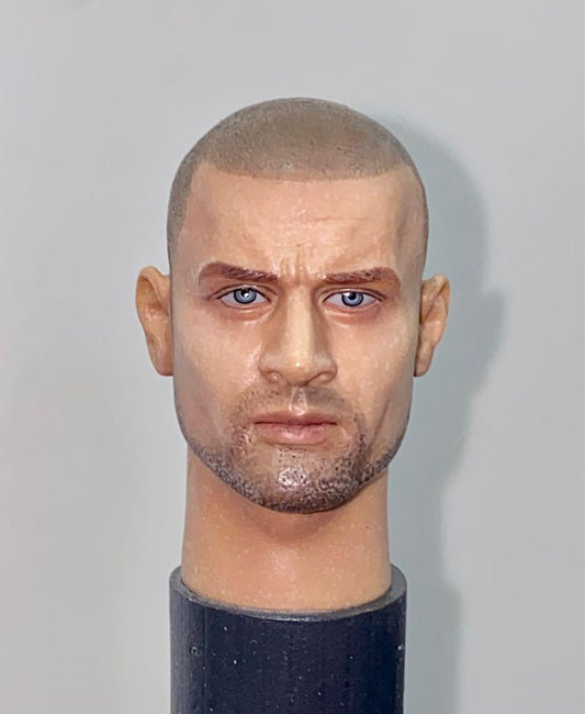 1/6 CUSTOM HEAD SCULPT PRISON BREAK LINCOLN BURROWS DOMINIC PURCELL head sculpture 12 inches FIGURE dedicated