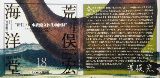 KAIYODO ENOSHIMA AQUARIUM WITH DISPLAY BOX