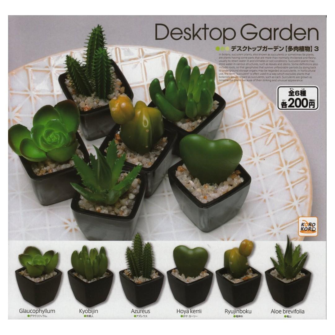KORO 01060 Desktop Simulation Potted Plant Succulent Plant Third Bomb Gacha Set DESKTOP GARDEN SUCCULENT PLANT 3 SET