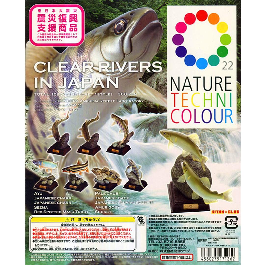 KITAN CLUB Kitan Japan's Clear Stream Stream Fish NATURE TECHNI COLOUR All 10 Types with Hidden Version Gachapon