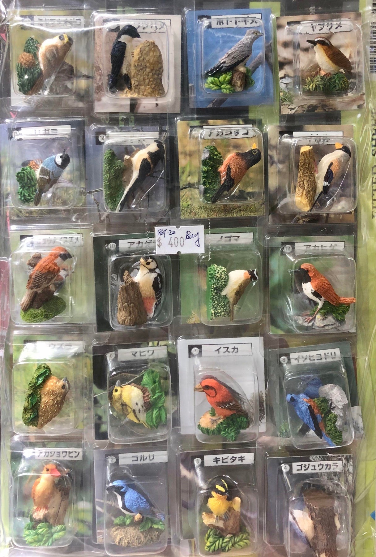 Small Birds Summer Birds Winter Birds Resident Birds 20 Types