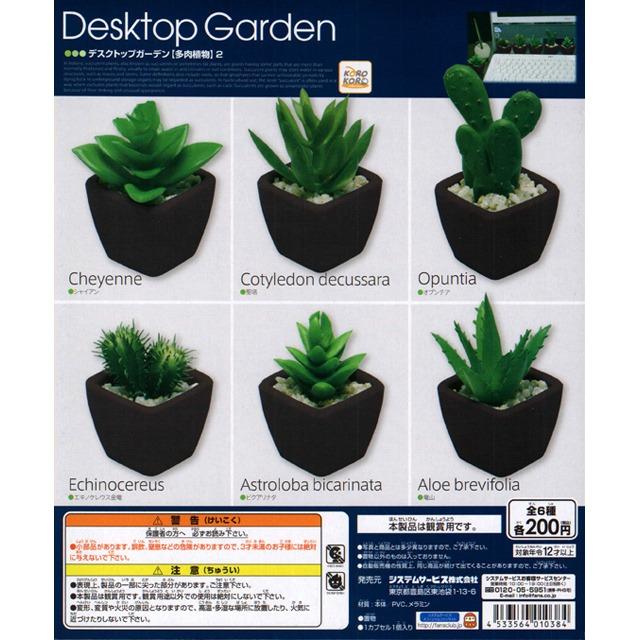 KORO KORO 01038 Desktop Simulation Potted Plants Succulent Plants Second Round Gachapon Set DESKTOP GARDEN SUCCULENT PLANTS 2 CHEYENNE COTYLEDON DECUSSARA OPUNTIA ECHINOCEREUS ASTROLOBA BICARINATA ALOE BREVIFOLIA SET