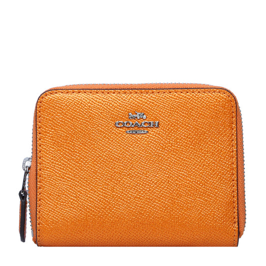 Coach Coin Purse F29444SVE6B 878