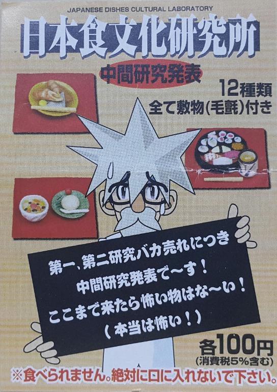 KONNO SANGYO 07015 JAPANESE DISHES CULTURAL LABORATORY INTERIM RESEARCH PRESENTATION WITH FELT SET  L