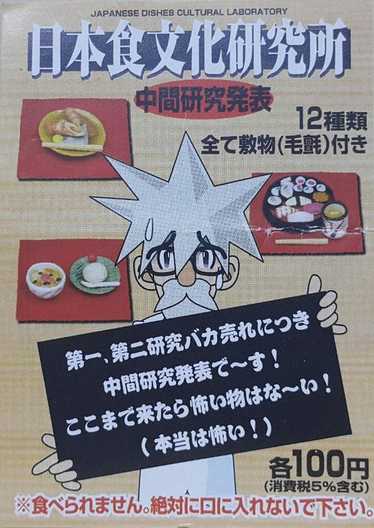 KONNO SANGYO 07015 JAPANESE DISHES CULTURAL LABORATORY INTERIM RESEARCH PRESENTATION WITH FELT SET  L